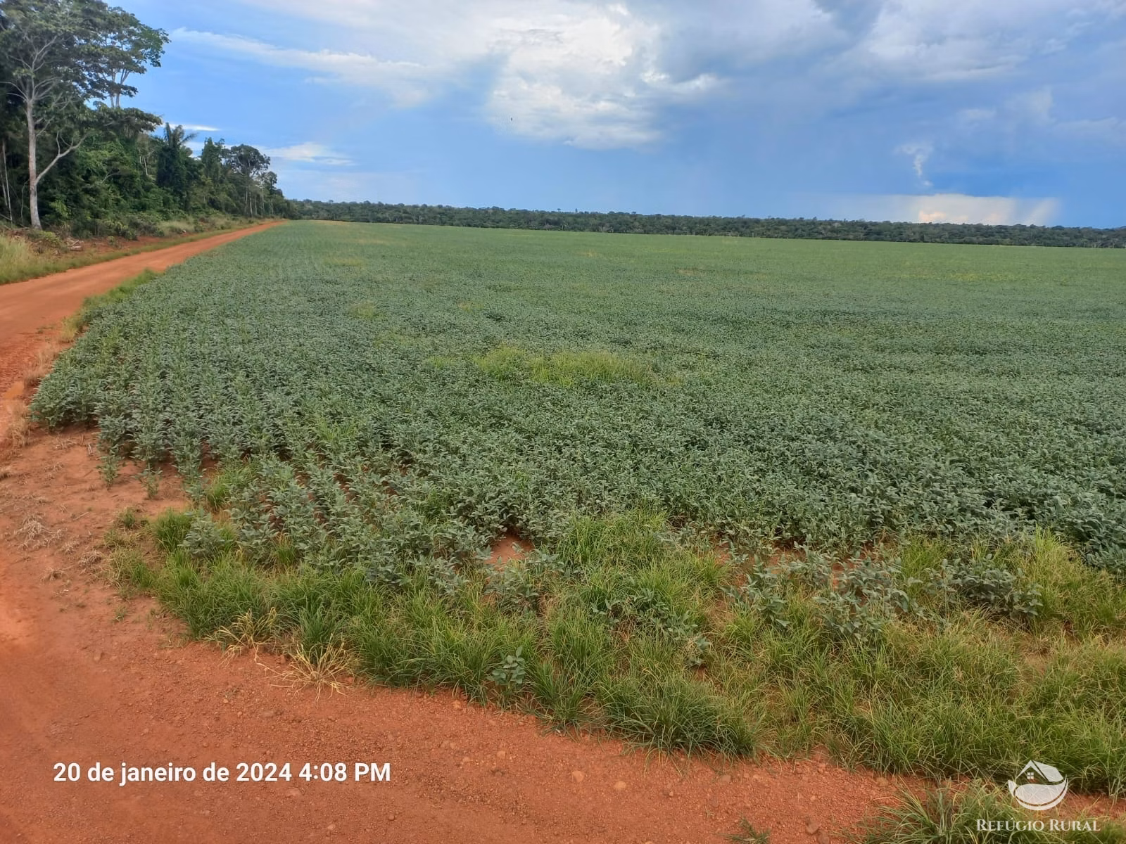 Fazenda de 1.260 ha em Juara, MT