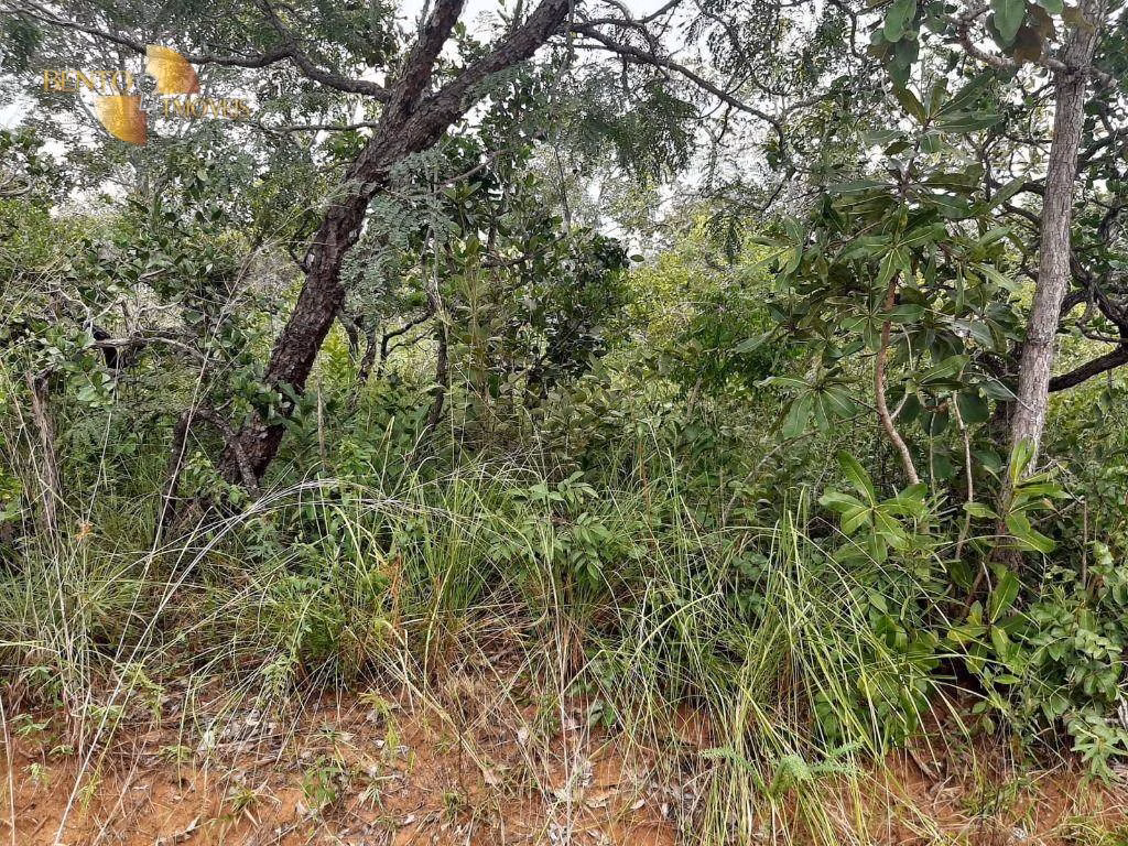 Fazenda de 250 ha em Chapada dos Guimarães, MT