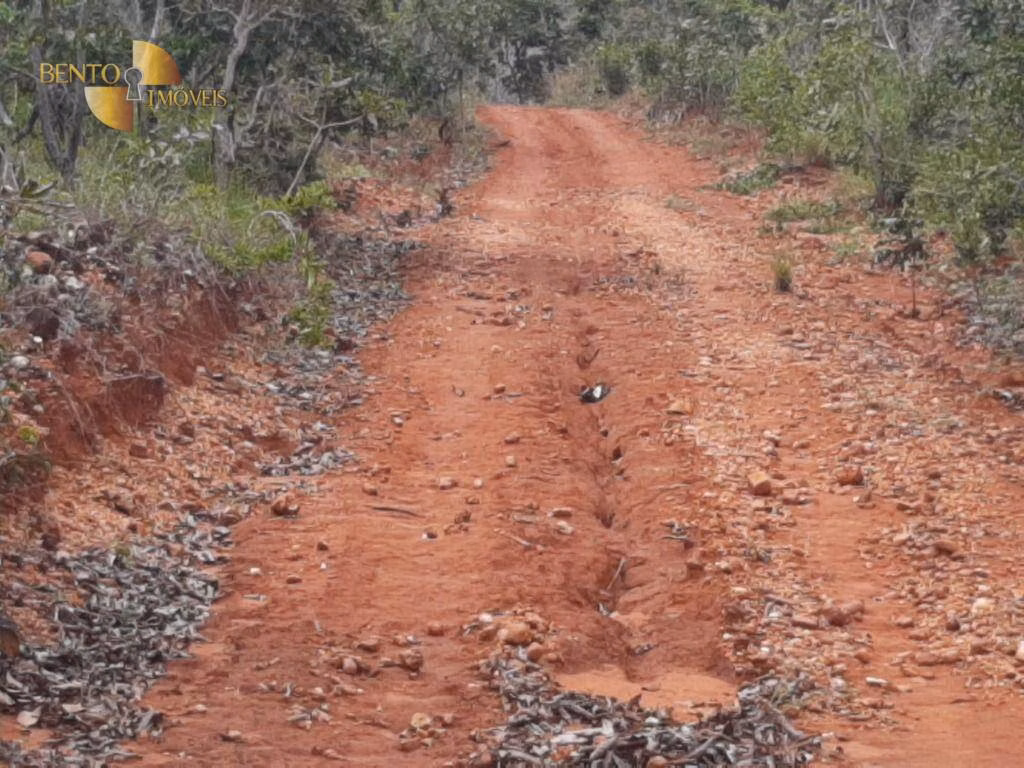 Fazenda de 250 ha em Chapada dos Guimarães, MT