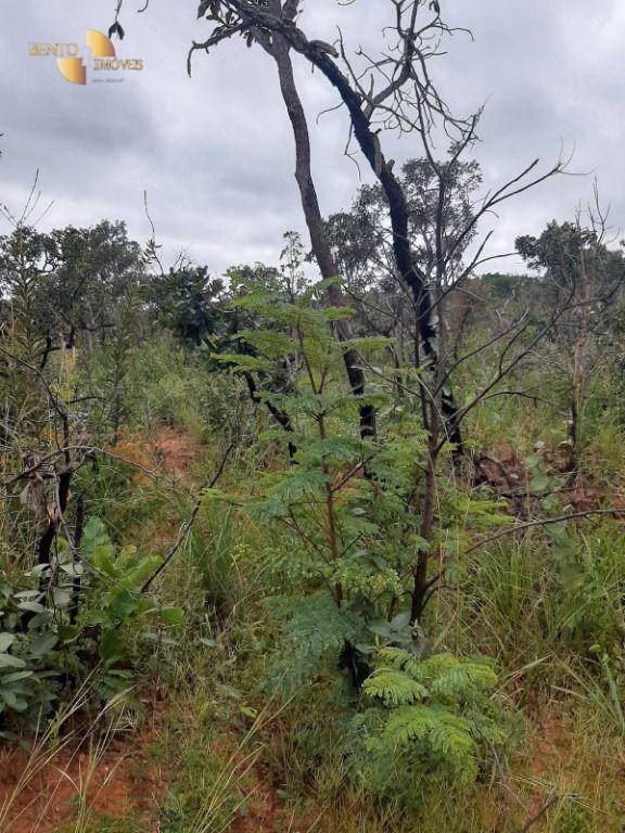 Farm of 618 acres in Chapada dos Guimarães, MT, Brazil