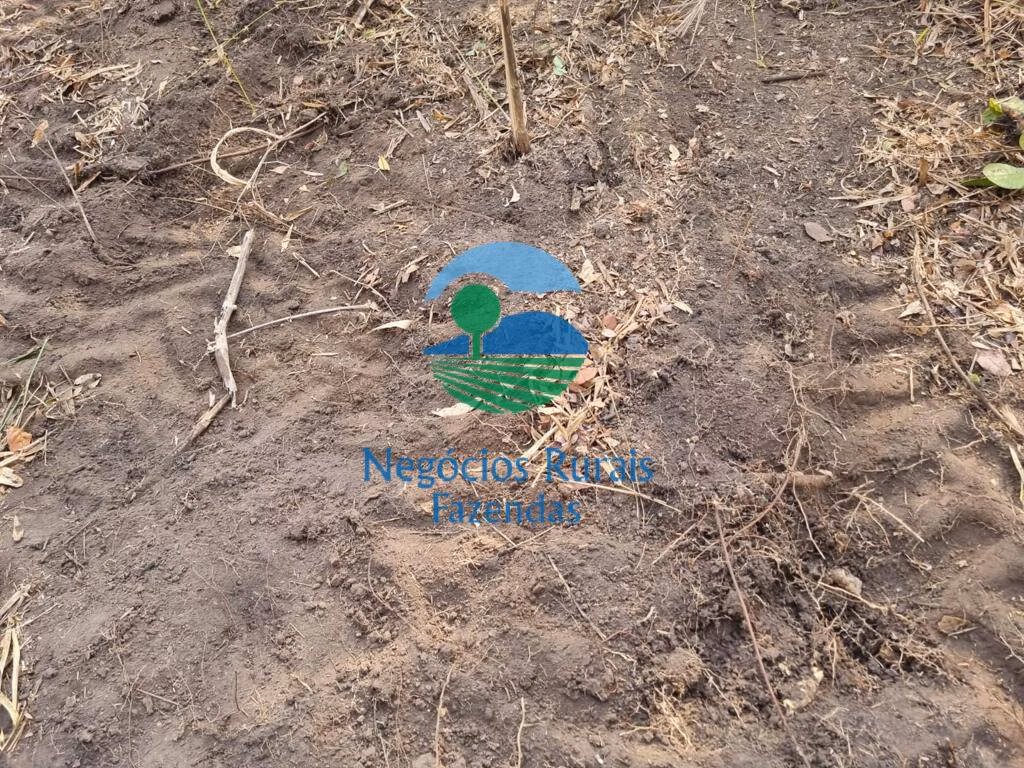 Farm of 4,784 acres in Rio Sono, TO, Brazil