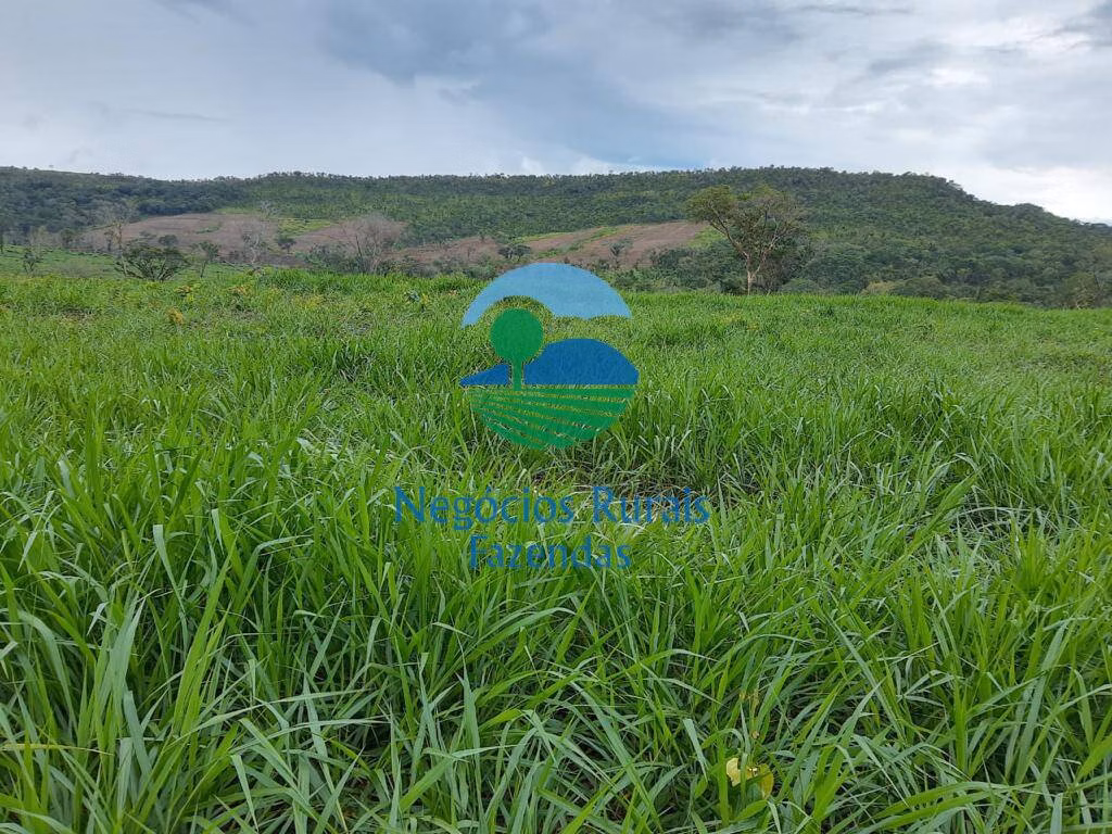 Farm of 4,784 acres in Rio Sono, TO, Brazil