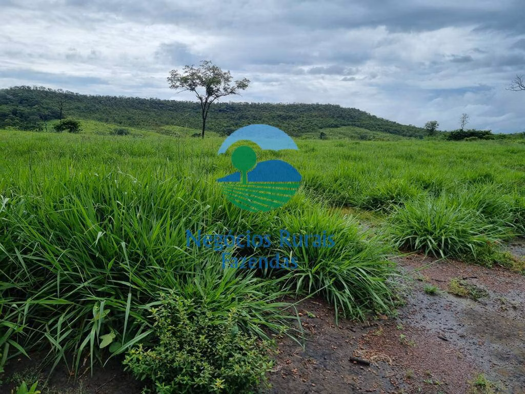 Farm of 4,784 acres in Rio Sono, TO, Brazil