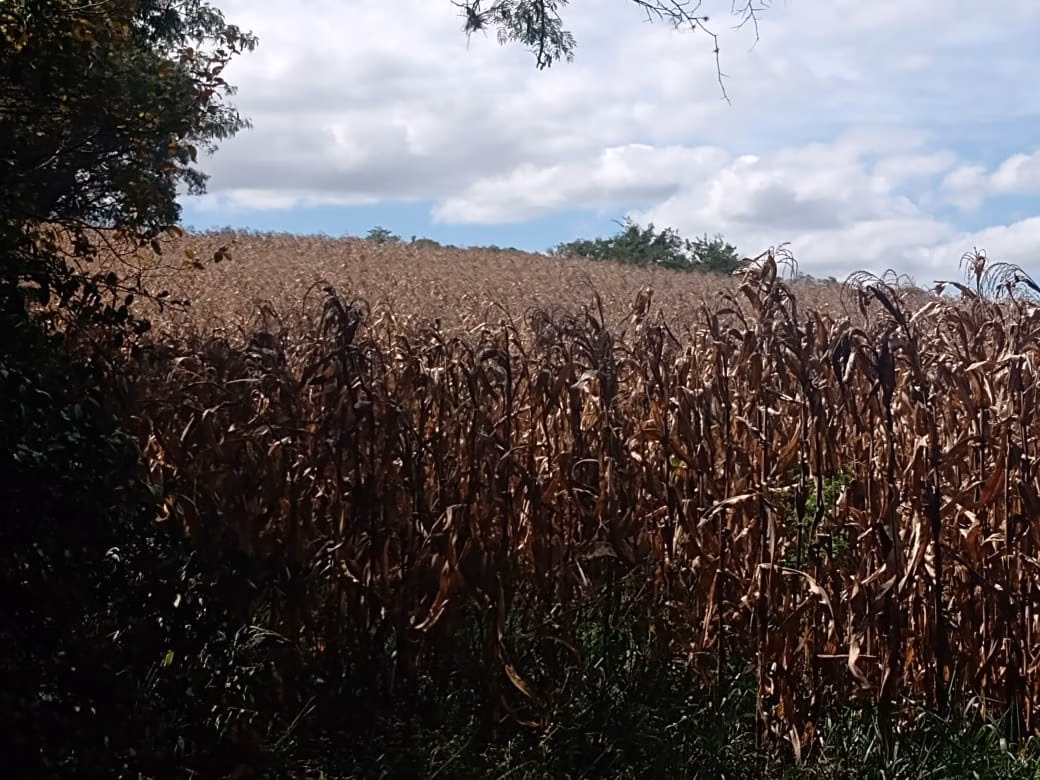 Small farm of 51 acres in Angatuba, SP, Brazil