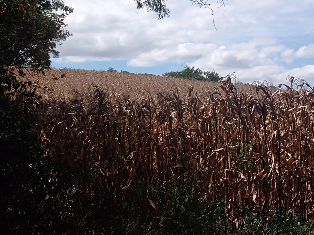 Small farm of 51 acres in Angatuba, SP, Brazil