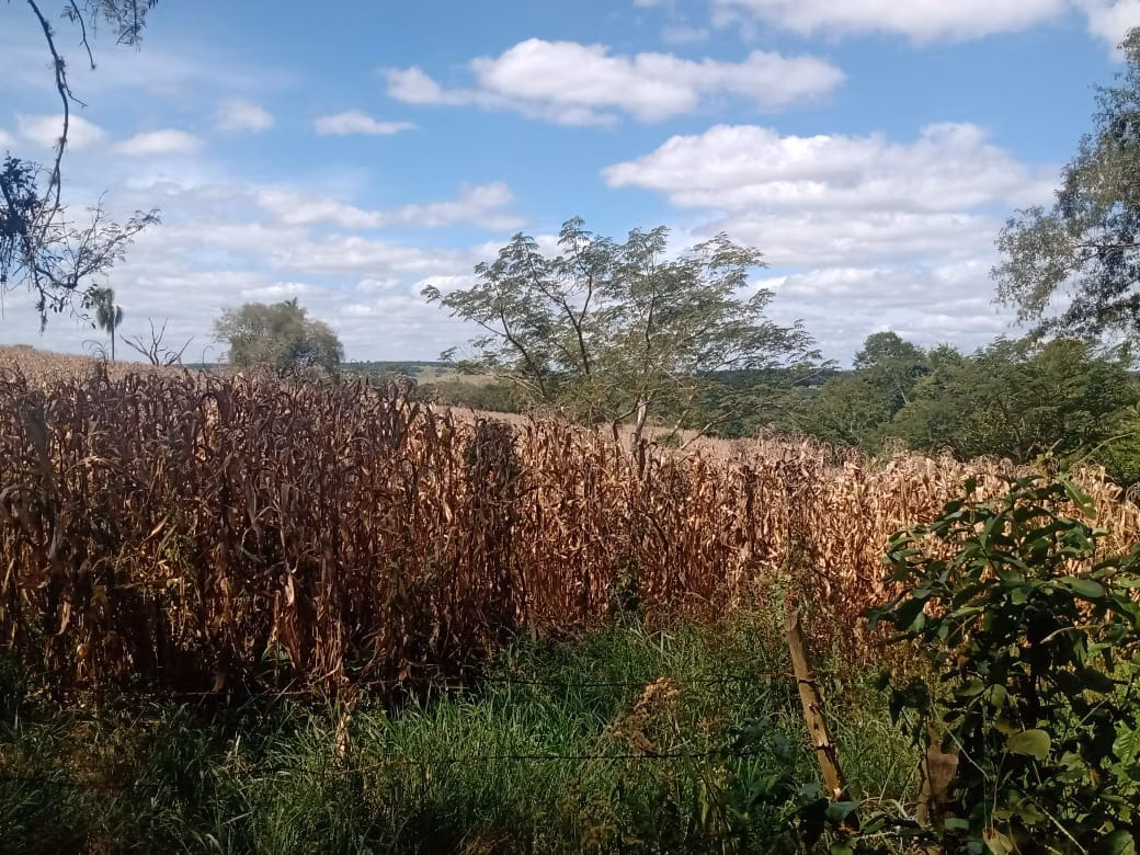 Small farm of 51 acres in Angatuba, SP, Brazil