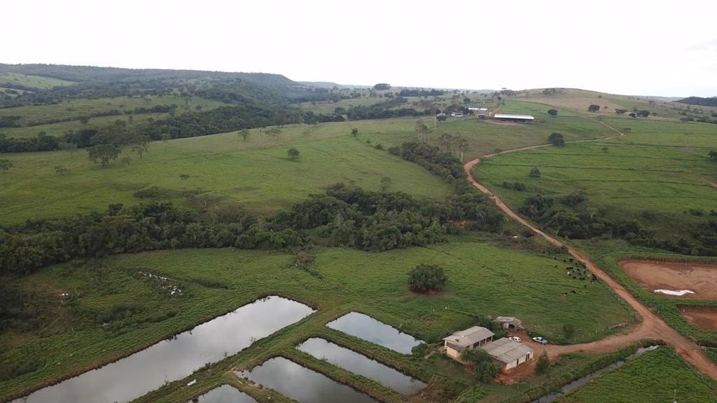 Fazenda de 2.013 ha em Bela Vista de Goiás, GO
