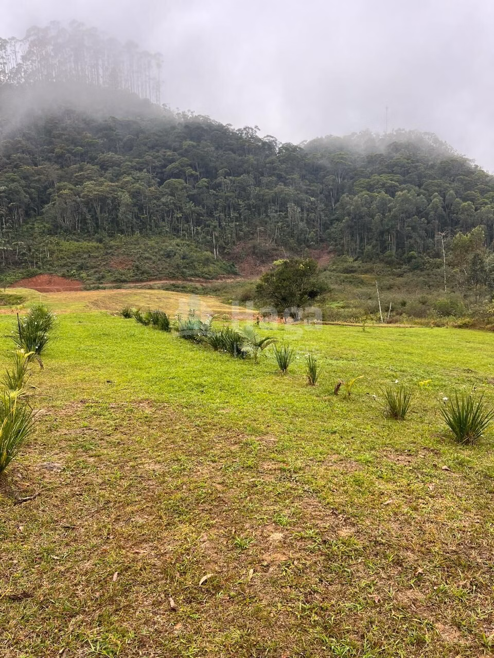 Fazenda de 4.500 m² em Guabiruba, SC