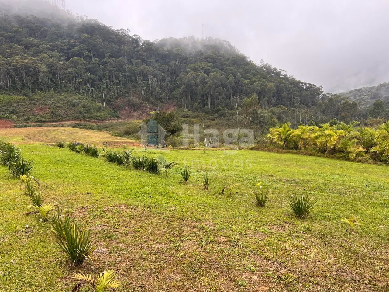 Fazenda de 4.500 m² em Guabiruba, SC