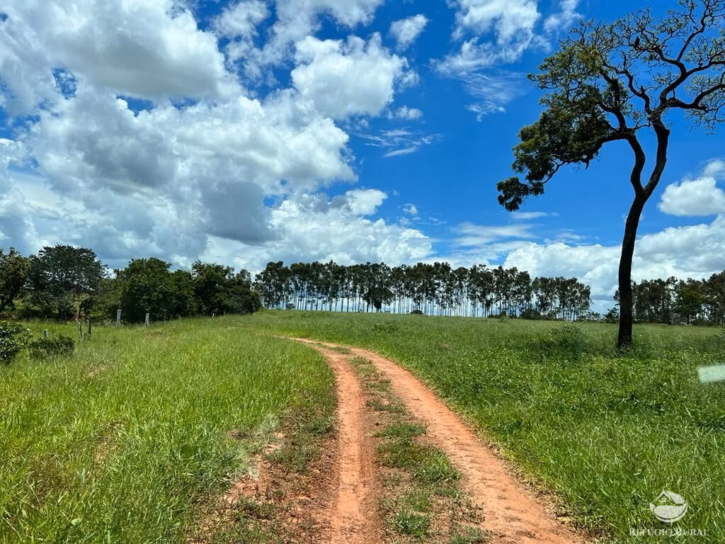 Sítio de 68 ha em Prata, MG