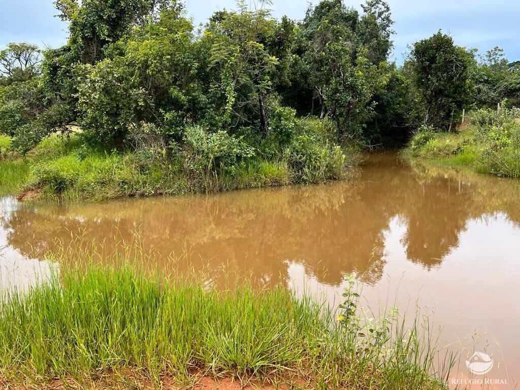 Sítio de 68 ha em Prata, MG