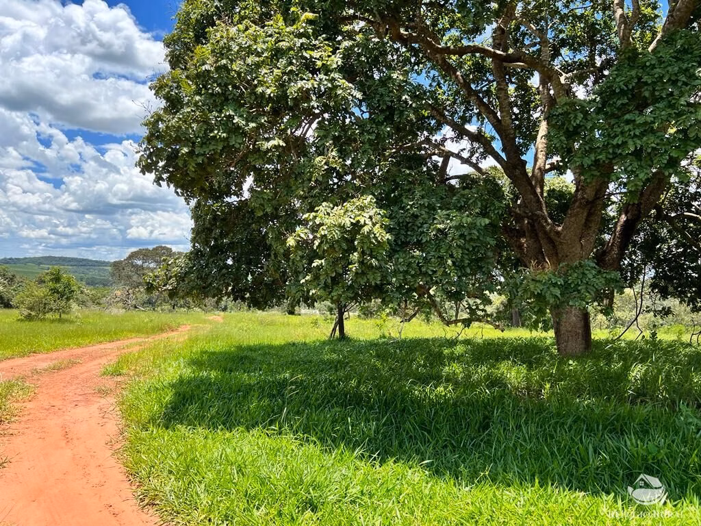 Sítio de 68 ha em Prata, MG