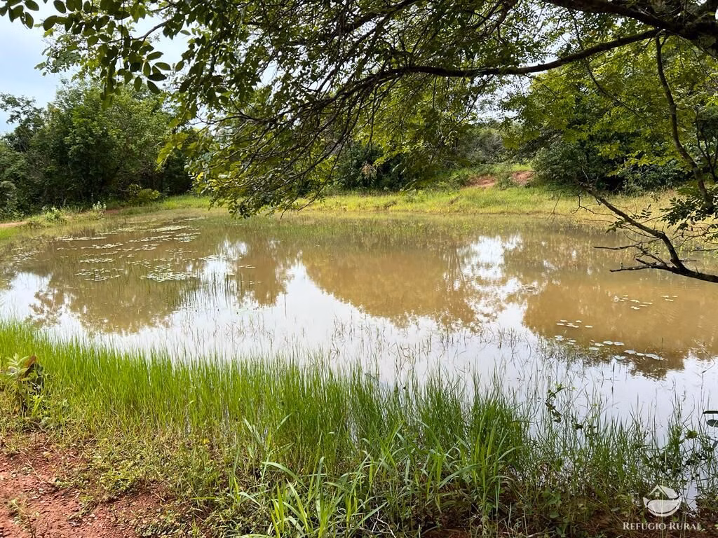 Sítio de 68 ha em Prata, MG