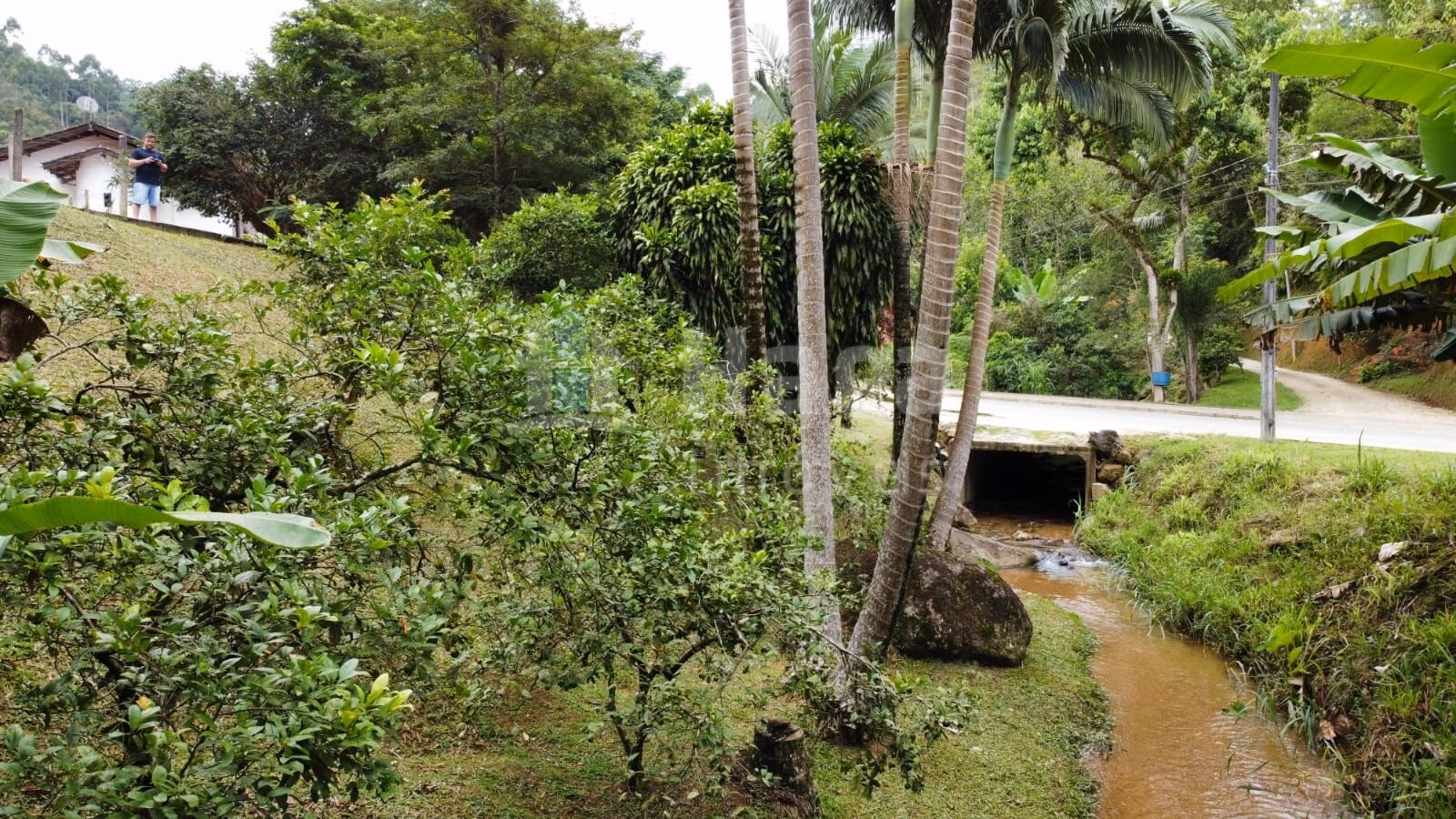 Farm of 2 acres in Brusque, SC, Brazil