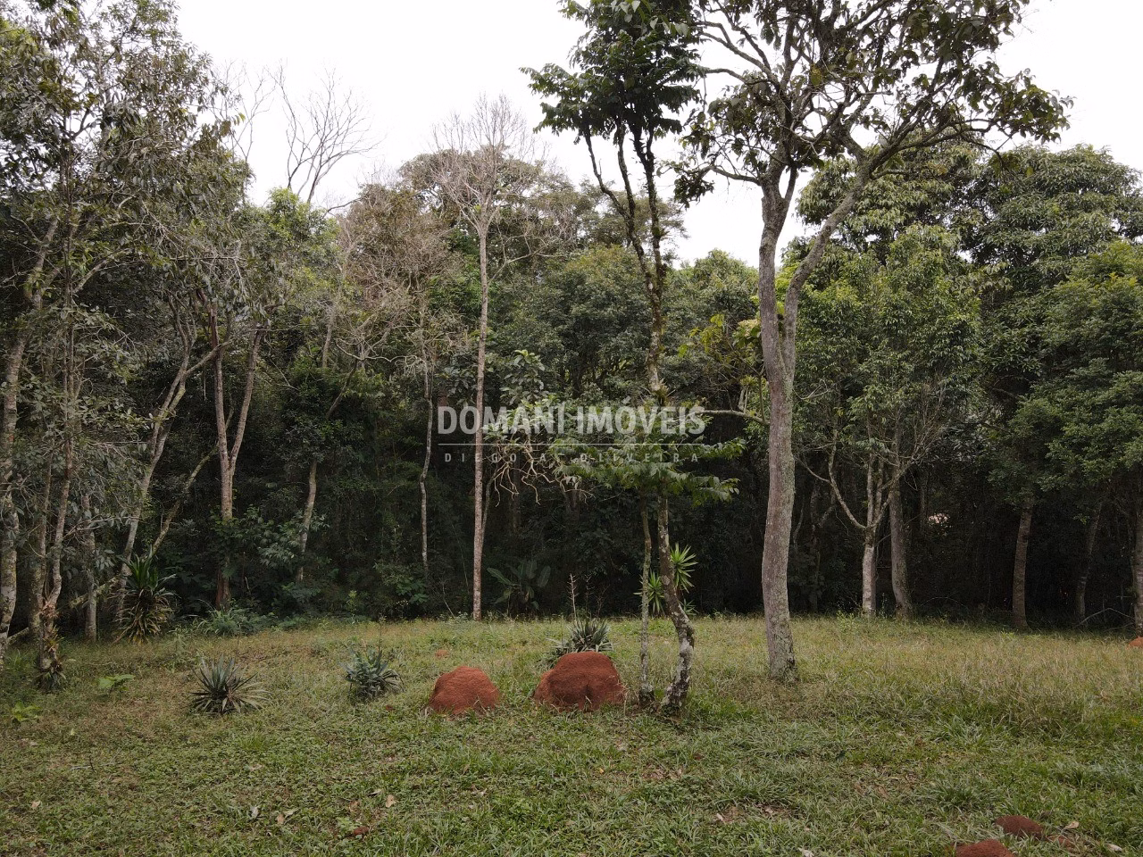 Terreno de 4.860 m² em Santo Antônio do Pinhal, SP