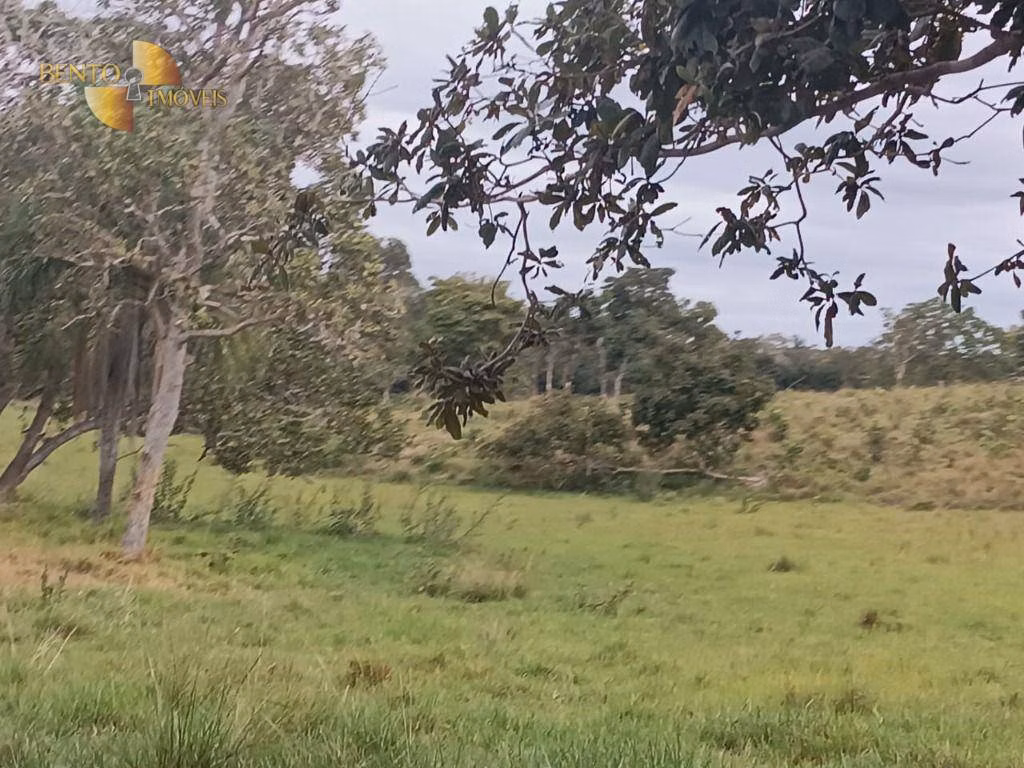 Fazenda de 200 ha em Nossa Senhora do Livramento, MT