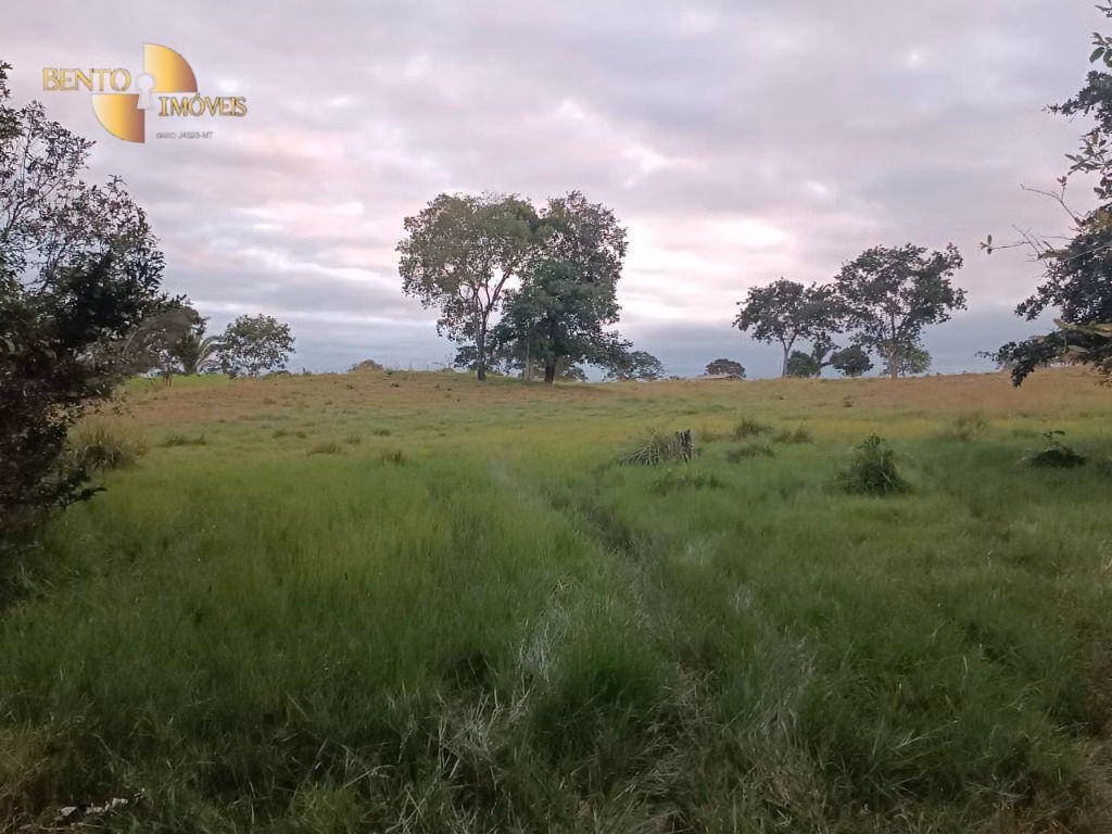 Fazenda de 200 ha em Nossa Senhora do Livramento, MT