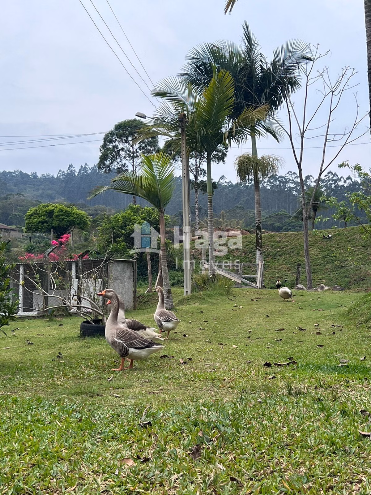 Country home of 3,600 m² in Canelinha, SC, Brazil