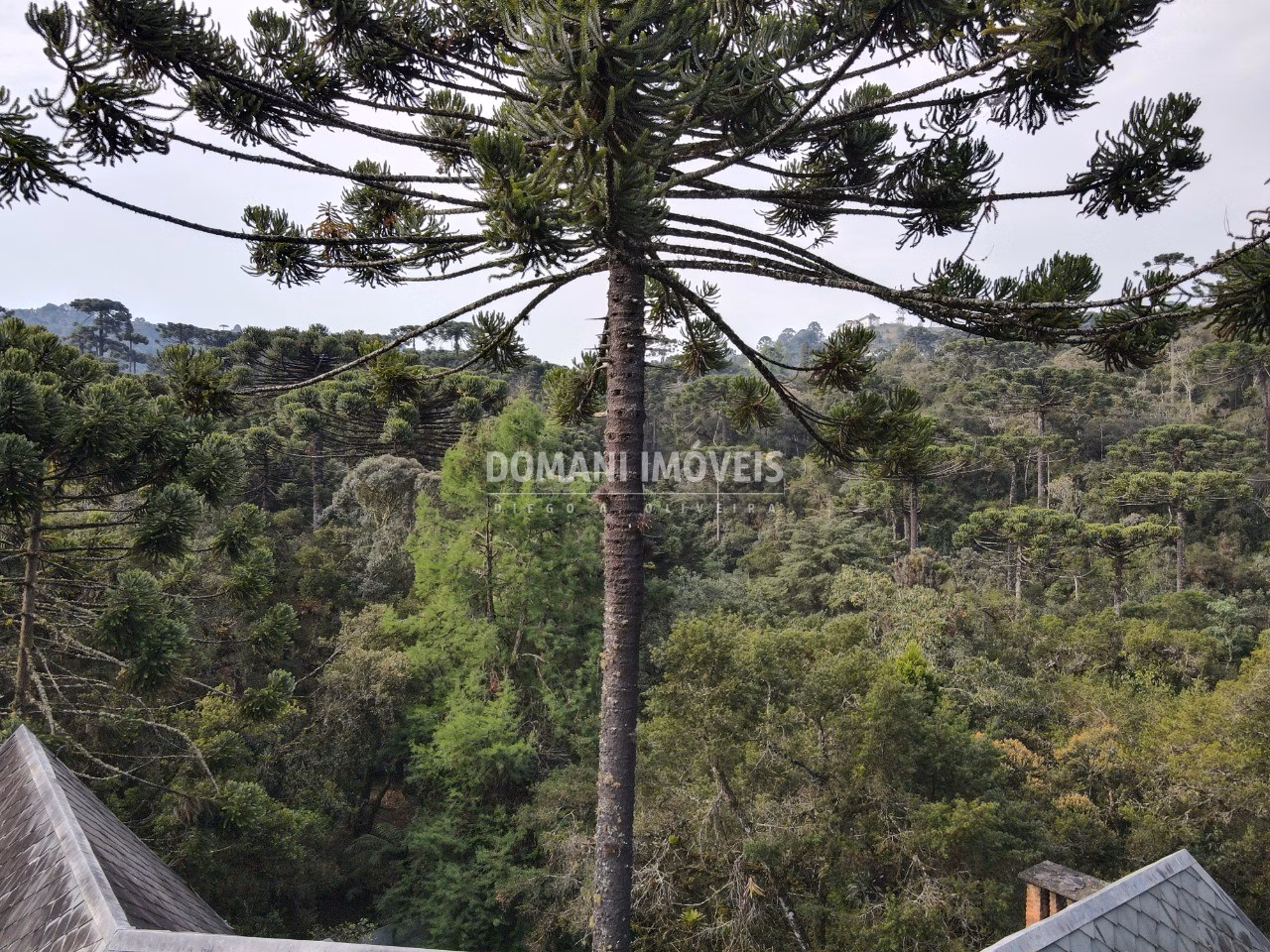 House of 2,390 m² in Campos do Jordão, SP, Brazil