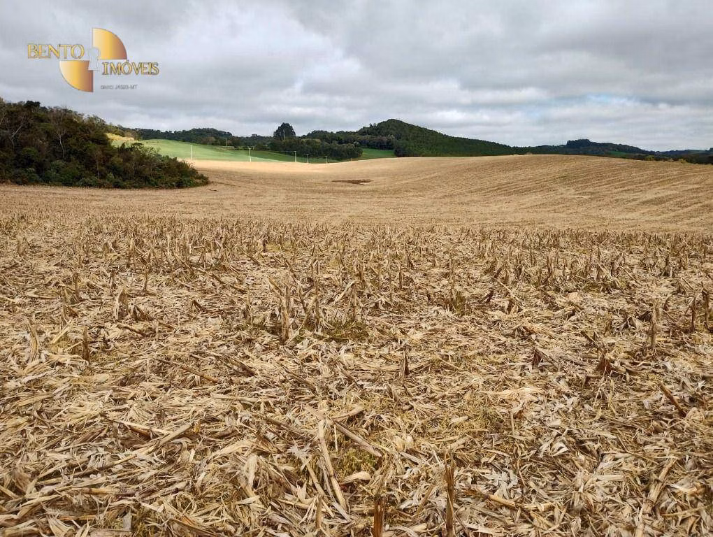 Fazenda de 297 ha em Francisco Beltrão, PR