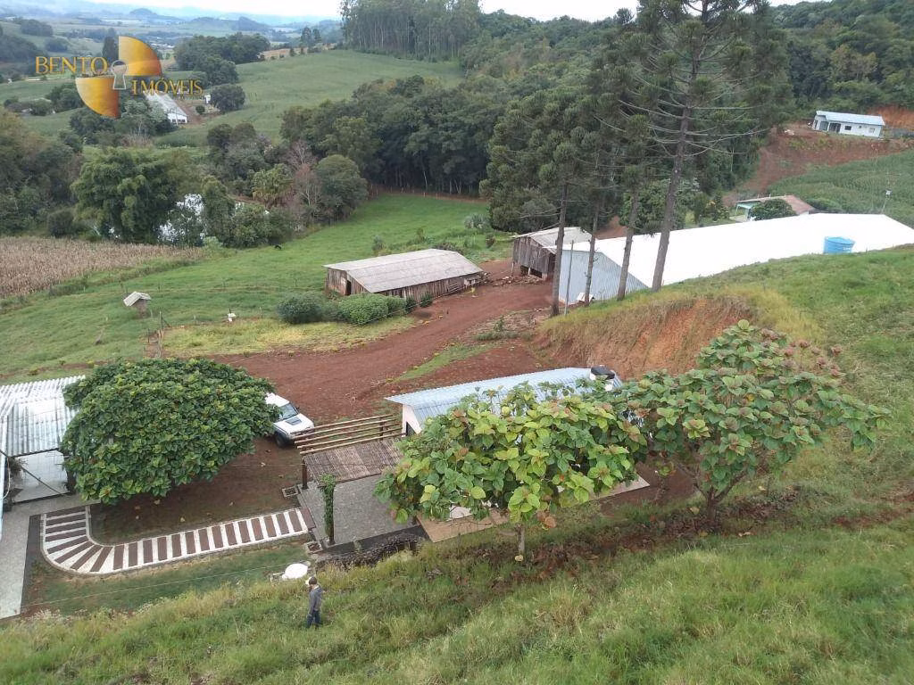 Fazenda de 297 ha em Francisco Beltrão, PR