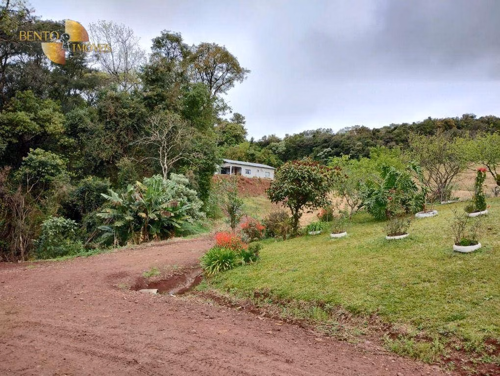Fazenda de 297 ha em Francisco Beltrão, PR