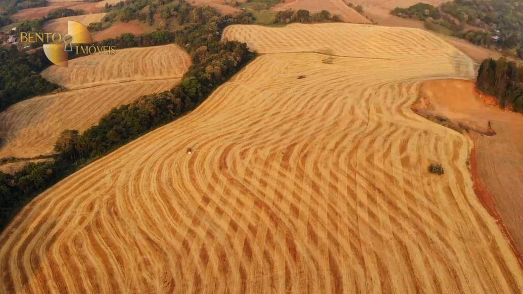 Fazenda de 297 ha em Francisco Beltrão, PR