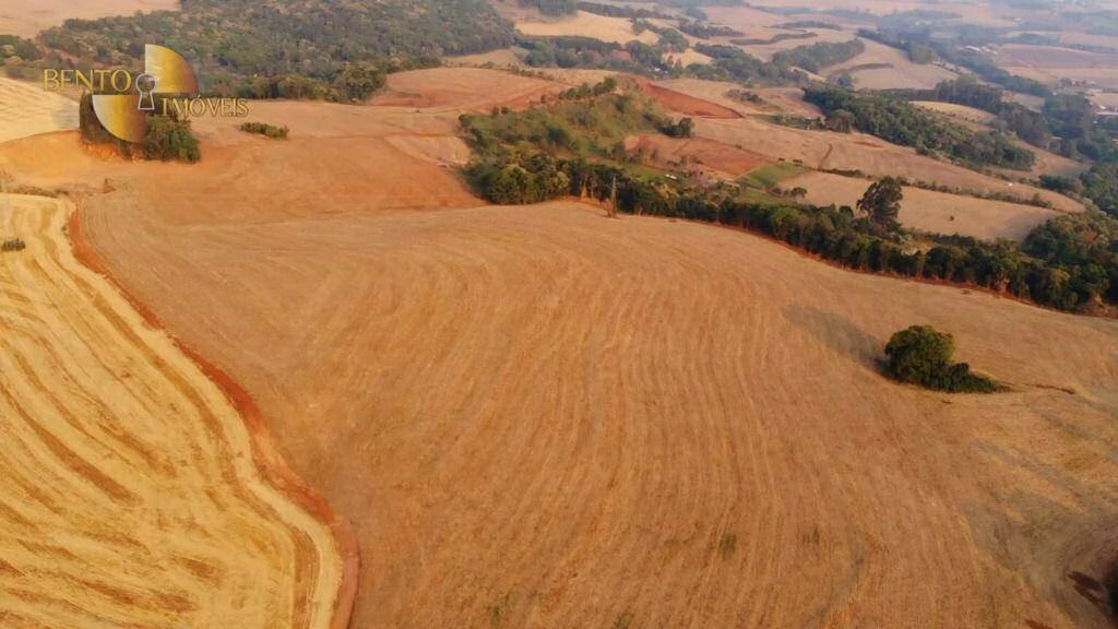 Fazenda de 297 ha em Francisco Beltrão, PR