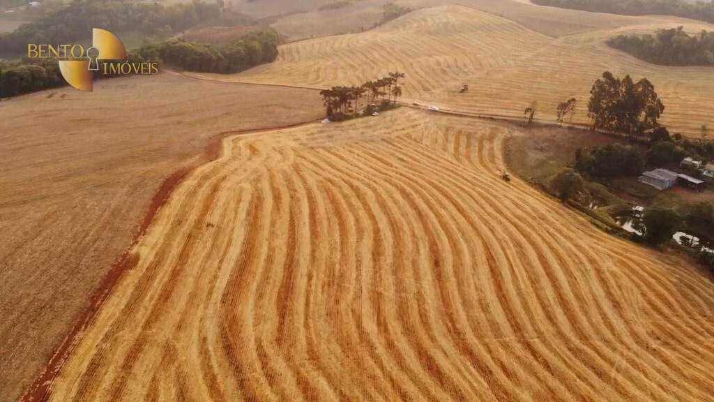 Fazenda de 297 ha em Francisco Beltrão, PR