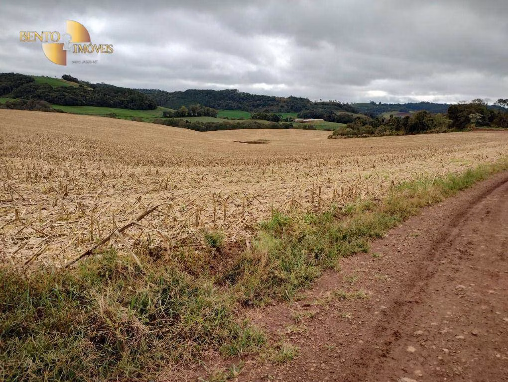 Fazenda de 297 ha em Francisco Beltrão, PR