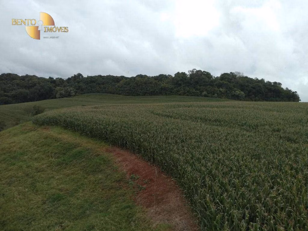Fazenda de 297 ha em Francisco Beltrão, PR