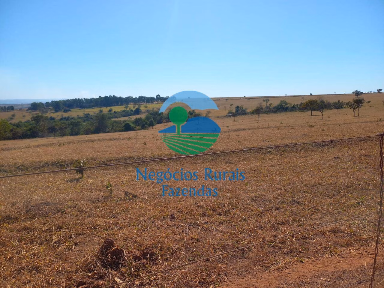 Farm of 514 acres in Anápolis, GO, Brazil