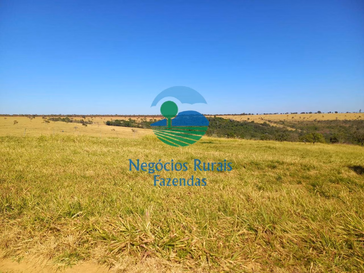 Farm of 514 acres in Anápolis, GO, Brazil