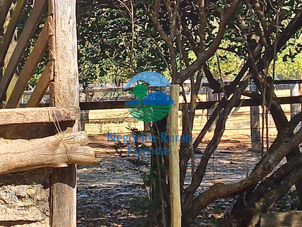 Farm of 514 acres in Anápolis, GO, Brazil