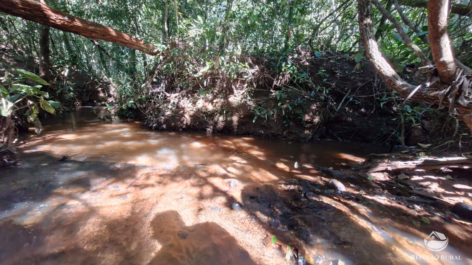 Sítio de 82 ha em Aparecida do Rio Doce, GO