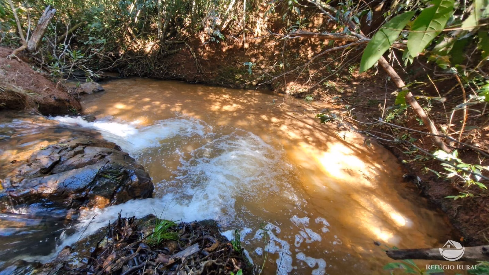 Sítio de 82 ha em Aparecida do Rio Doce, GO