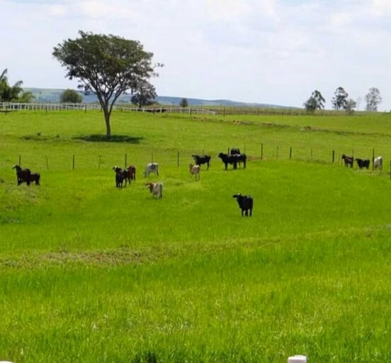Fazenda de 394 ha em Bauru, SP