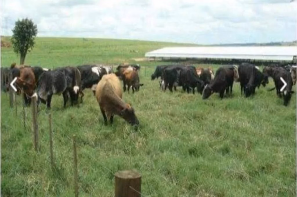 Fazenda de 394 ha em Bauru, SP