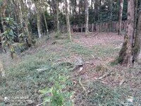 Sítio de 15 ha em São José dos Campos, SP