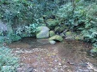 Sítio de 15 ha em São José dos Campos, SP