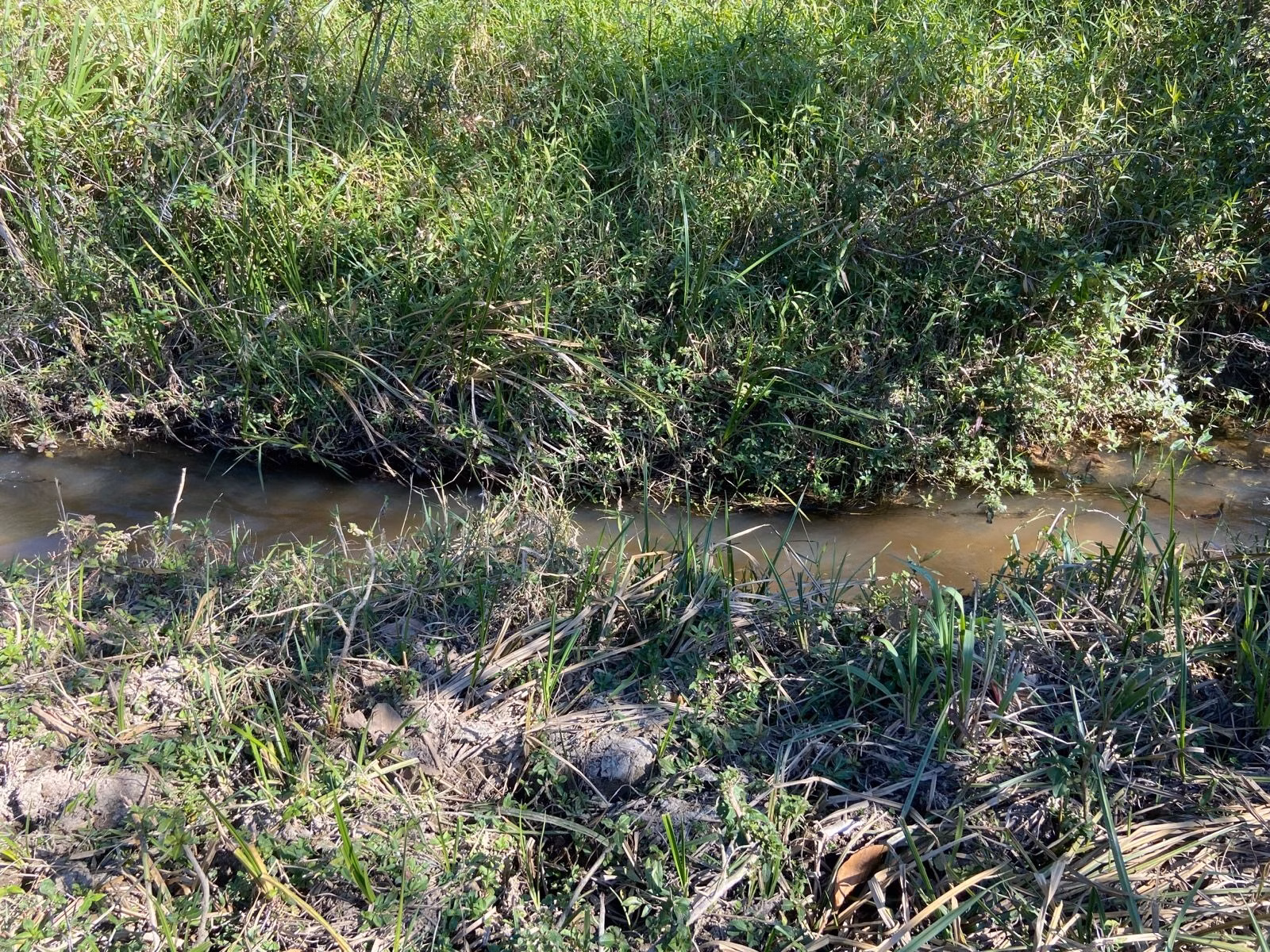 Sítio de 17 ha em São Luiz do Paraitinga, SP