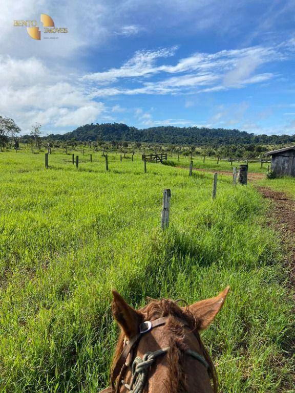 Fazenda de 1.010 ha em Juruena, MT