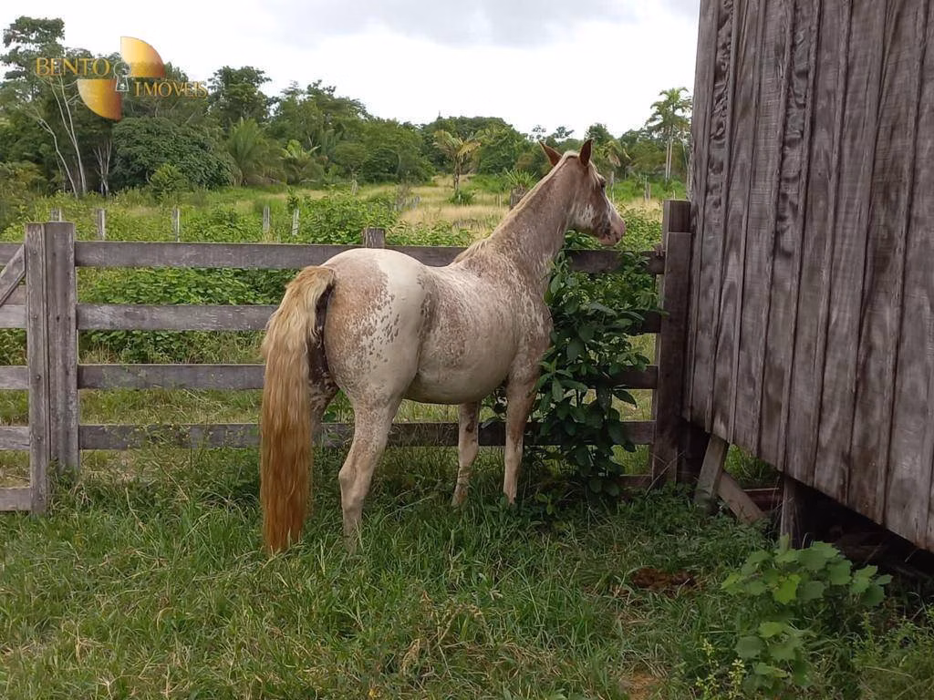 Fazenda de 1.010 ha em Juruena, MT