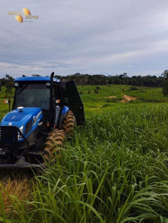 Fazenda de 1.010 ha em Juruena, MT