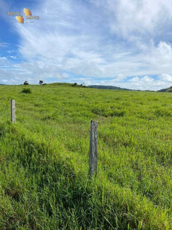 Fazenda de 1.010 ha em Juruena, MT
