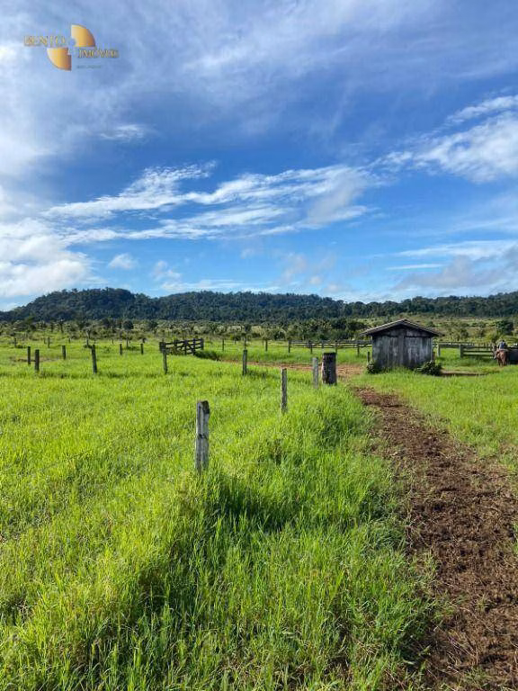 Fazenda de 1.010 ha em Juruena, MT