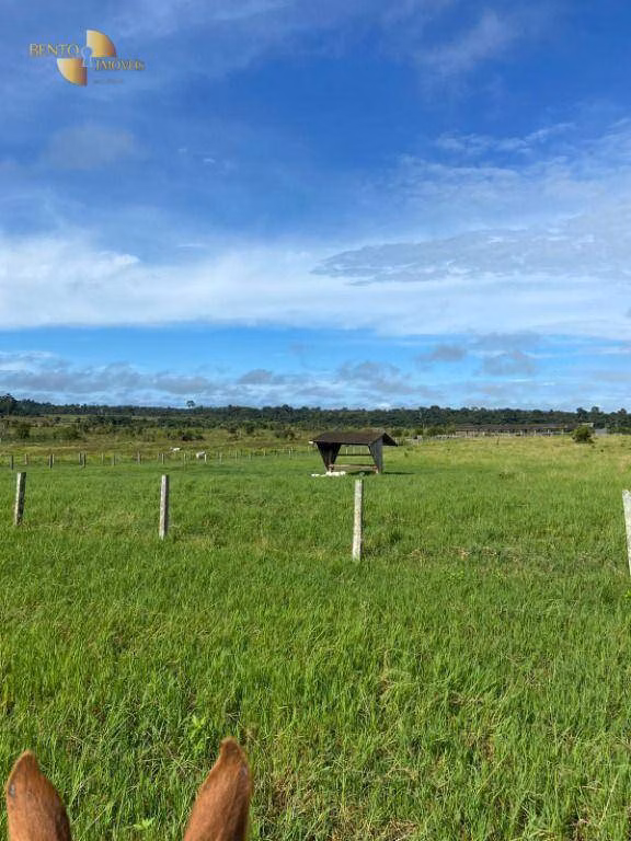 Fazenda de 1.010 ha em Juruena, MT