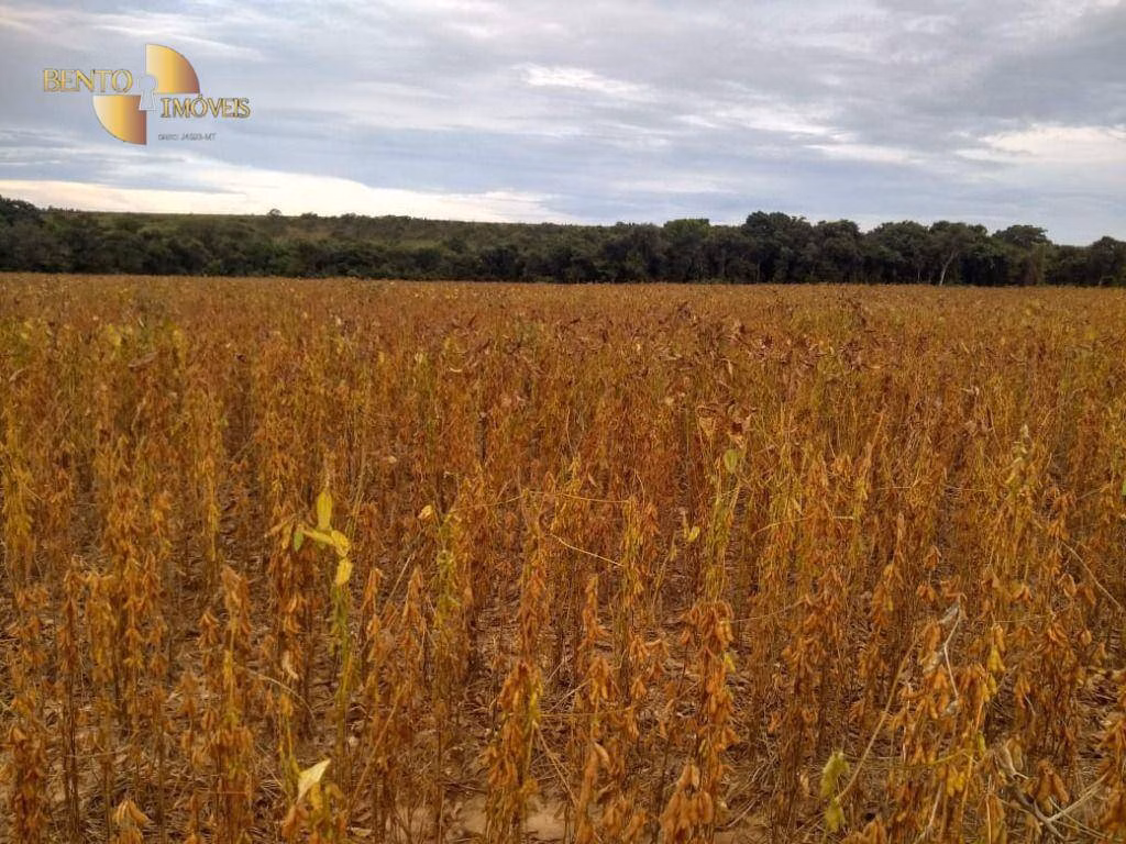 Fazenda de 3.106 ha em Água Boa, MT