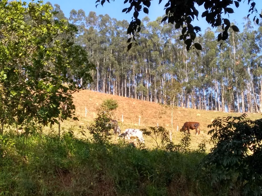 Fazenda de 303 ha em Redenção da Serra, SP