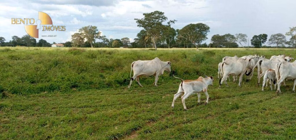 Fazenda de 4.778 ha em Cocalinho, MT